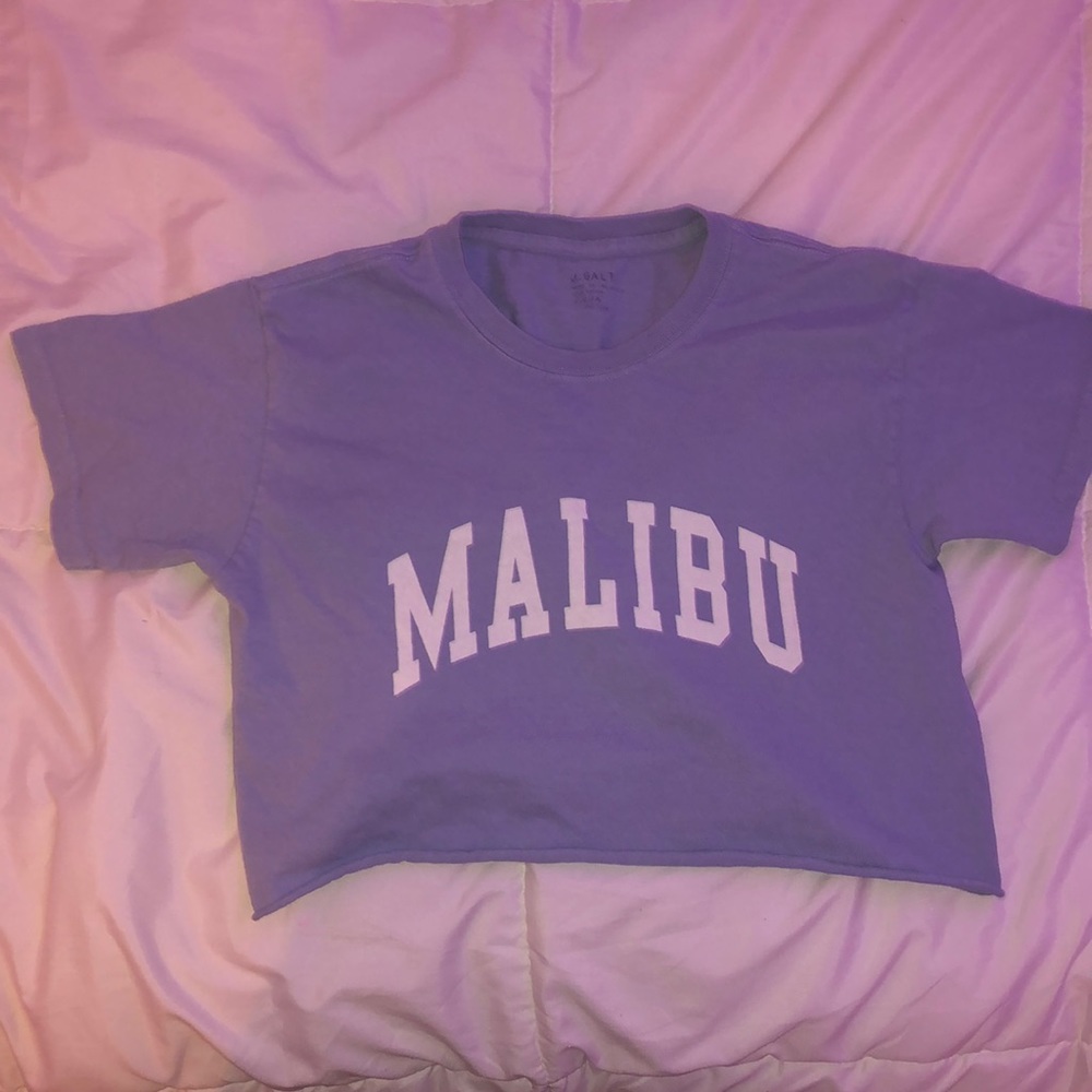 Brandy mellville malibu crop shirt